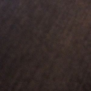 Meet your Posher, Janie